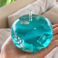Big Ocean Shell Apple Squishy