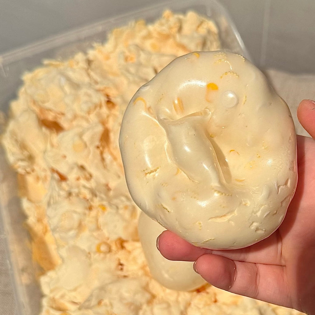Mango Jasmine Iced Stress Ball
