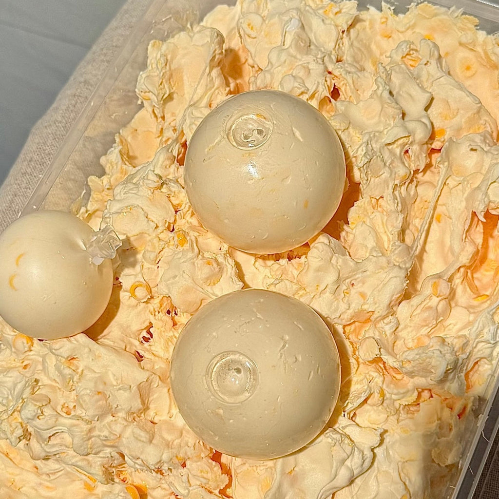 Mango Jasmine Iced Stress Ball